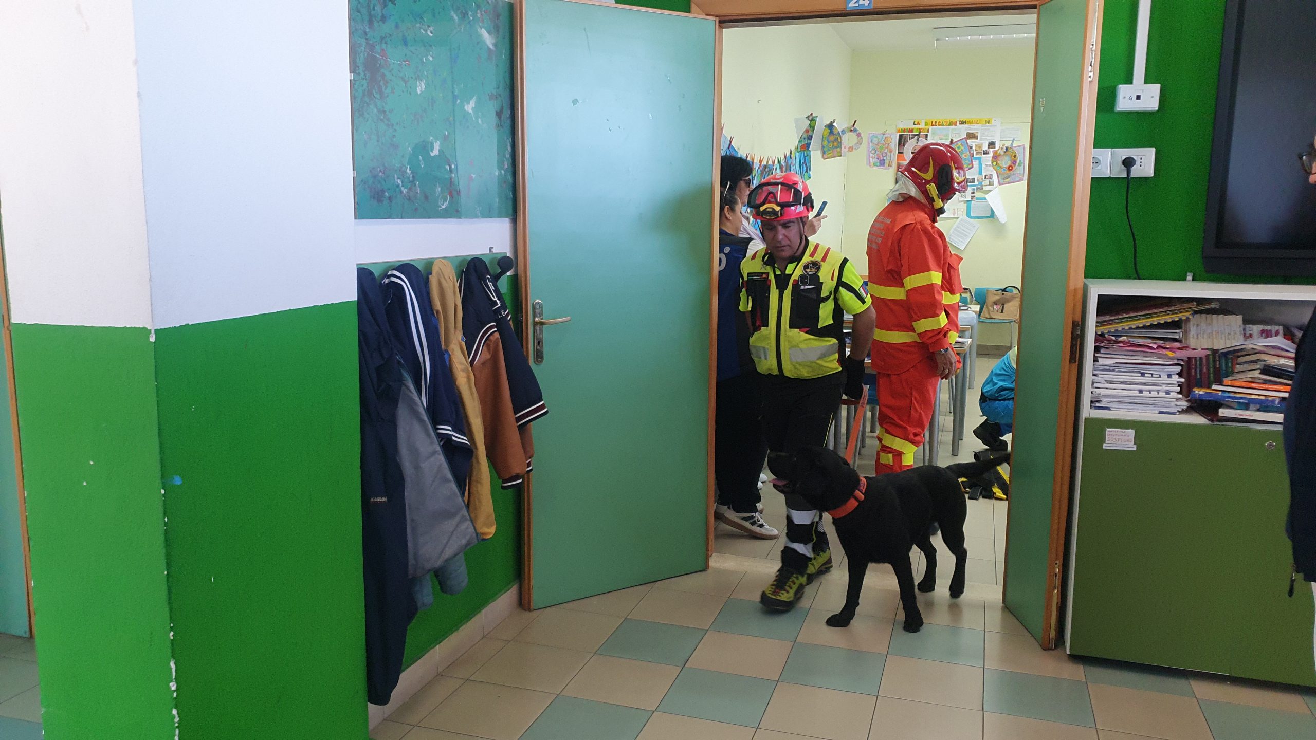Earthquake drill rescue teams in action